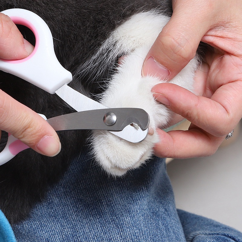 Pet Nail Care Scissors Pet Nai - Grooming Scissors recension och pris